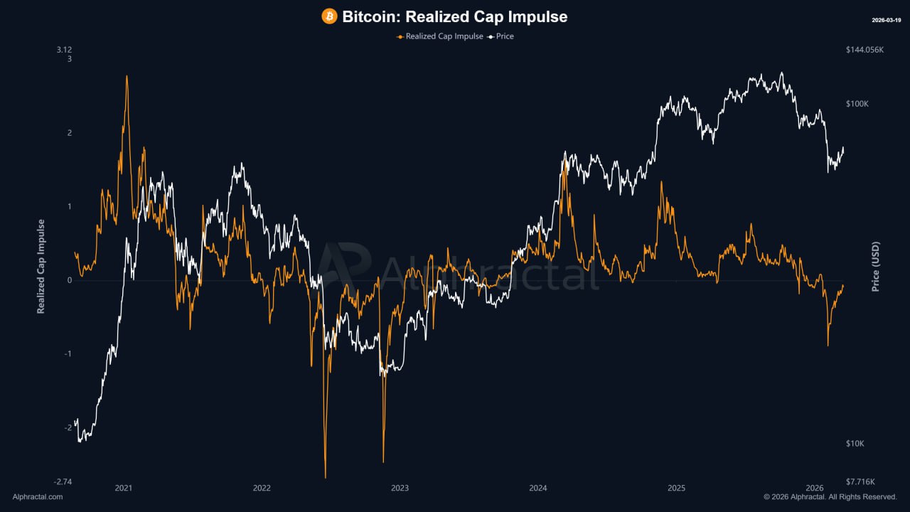 media from channel -1002340127677 #3634