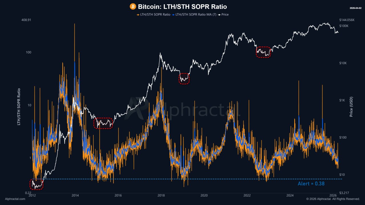 media from channel -1002340127677 #3765