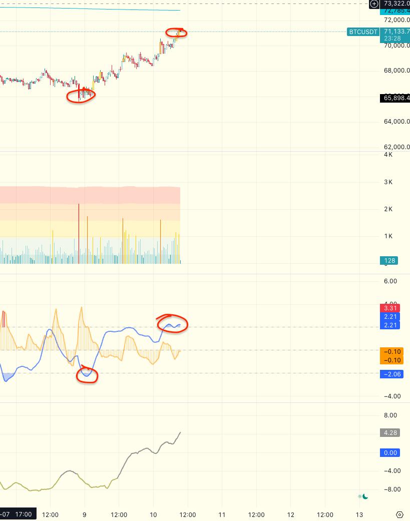 media from channel -1002340127677 #3571