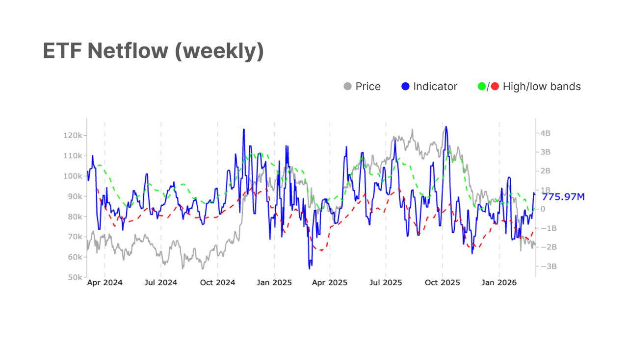 media from channel -1002340127677 #3521