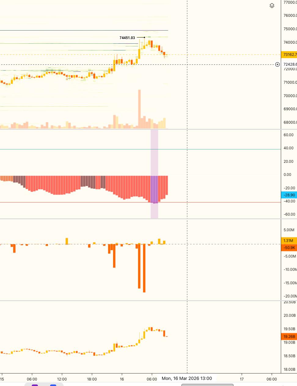 media from channel -1002340127677 #3610