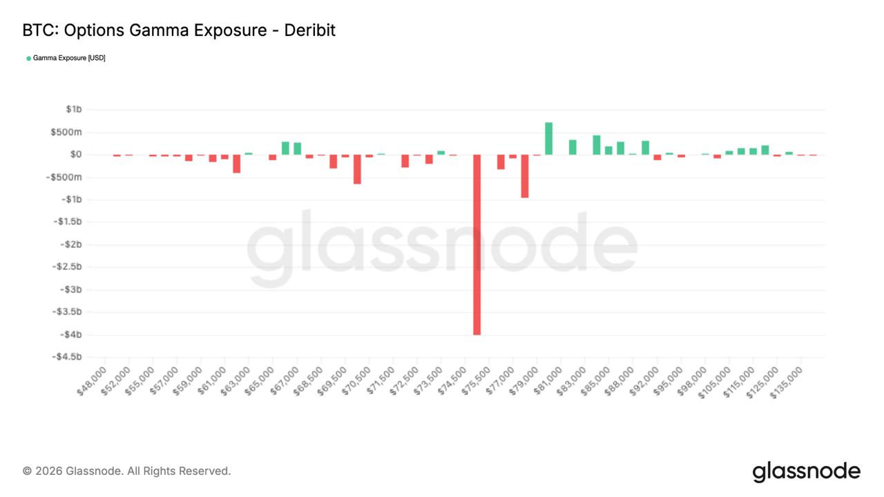 media from channel -1002340127677 #3613