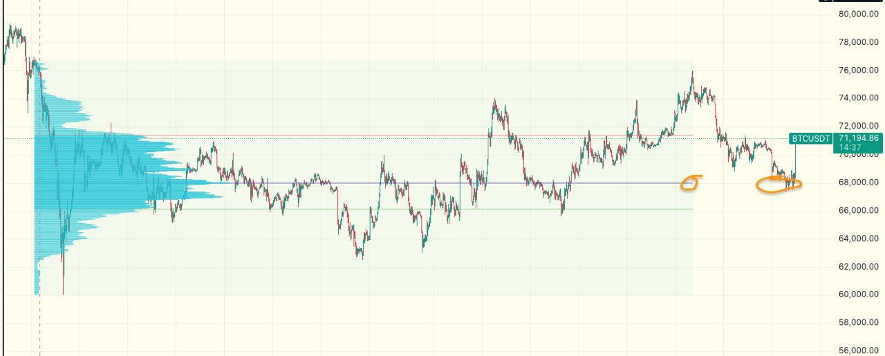 media from channel -1002340127677 #3644