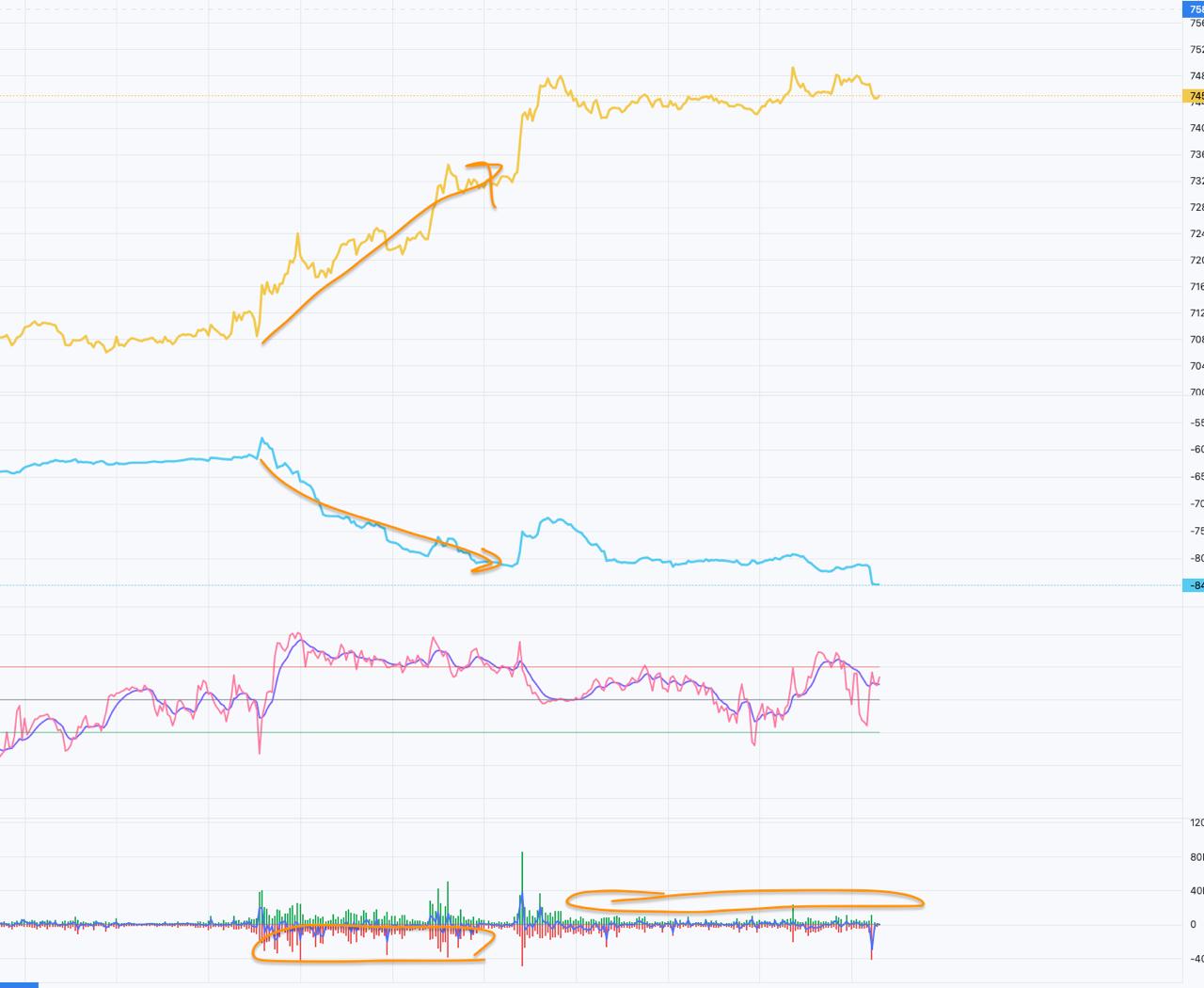 media from channel -1002340127677 #3910