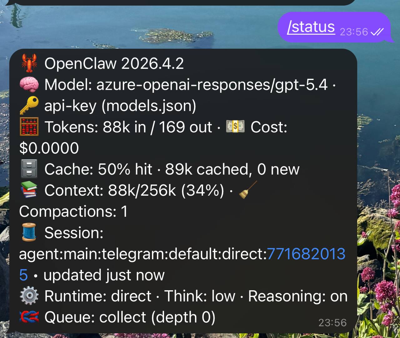 media from channel -1003805326518 #54