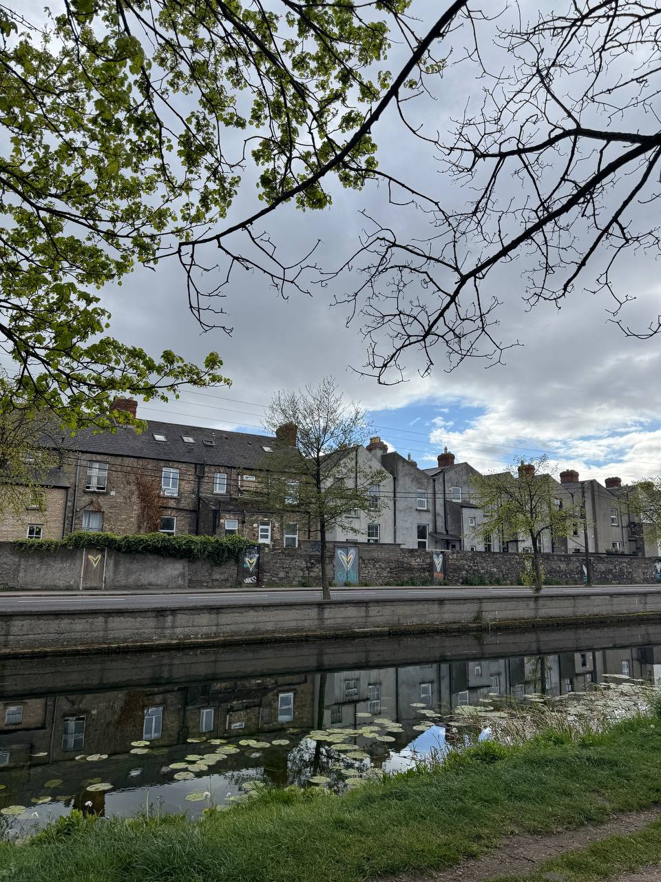 media from channel -1003888244528 #281