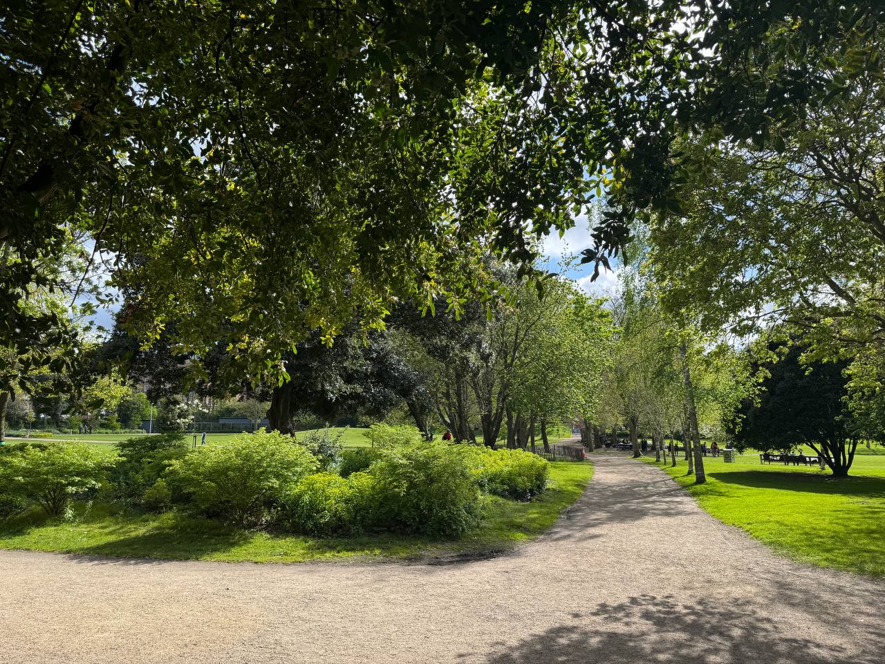 media from channel -1003888244528 #281