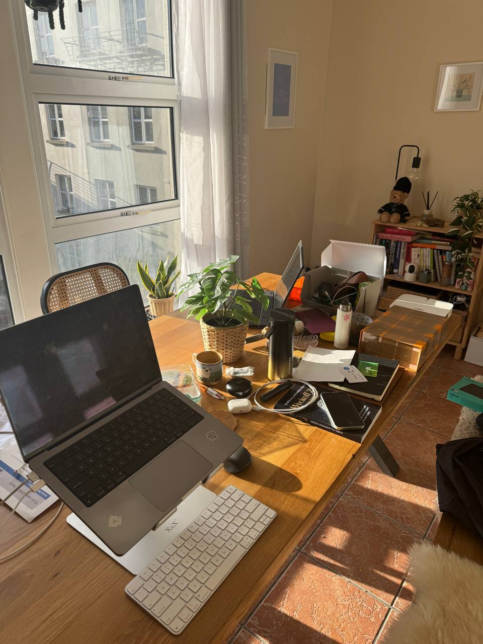 media from channel -1003888244528 #113