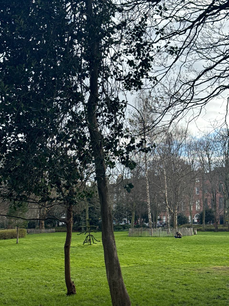 media from channel -1003888244528 #182