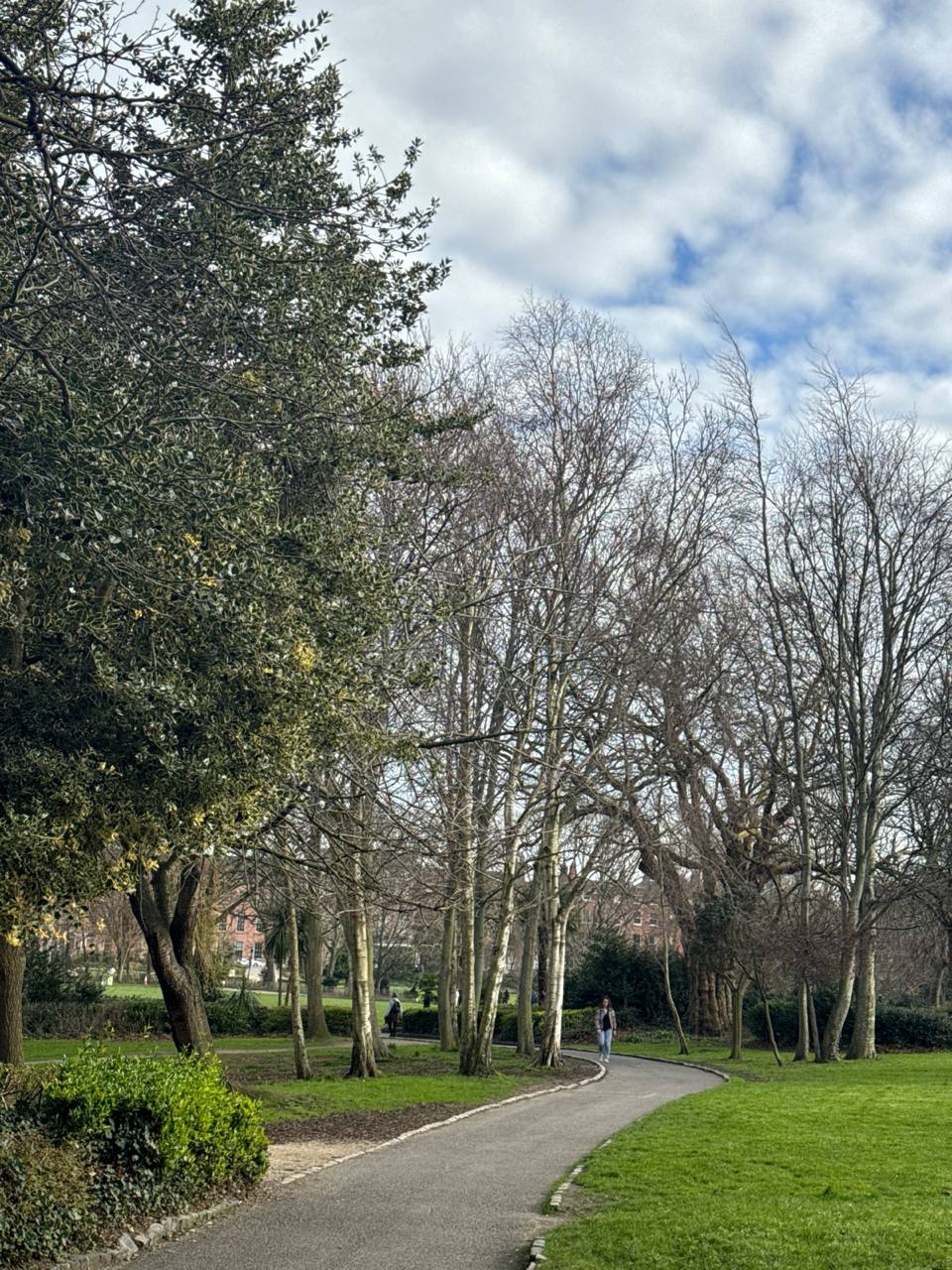 media from channel -1003888244528 #182