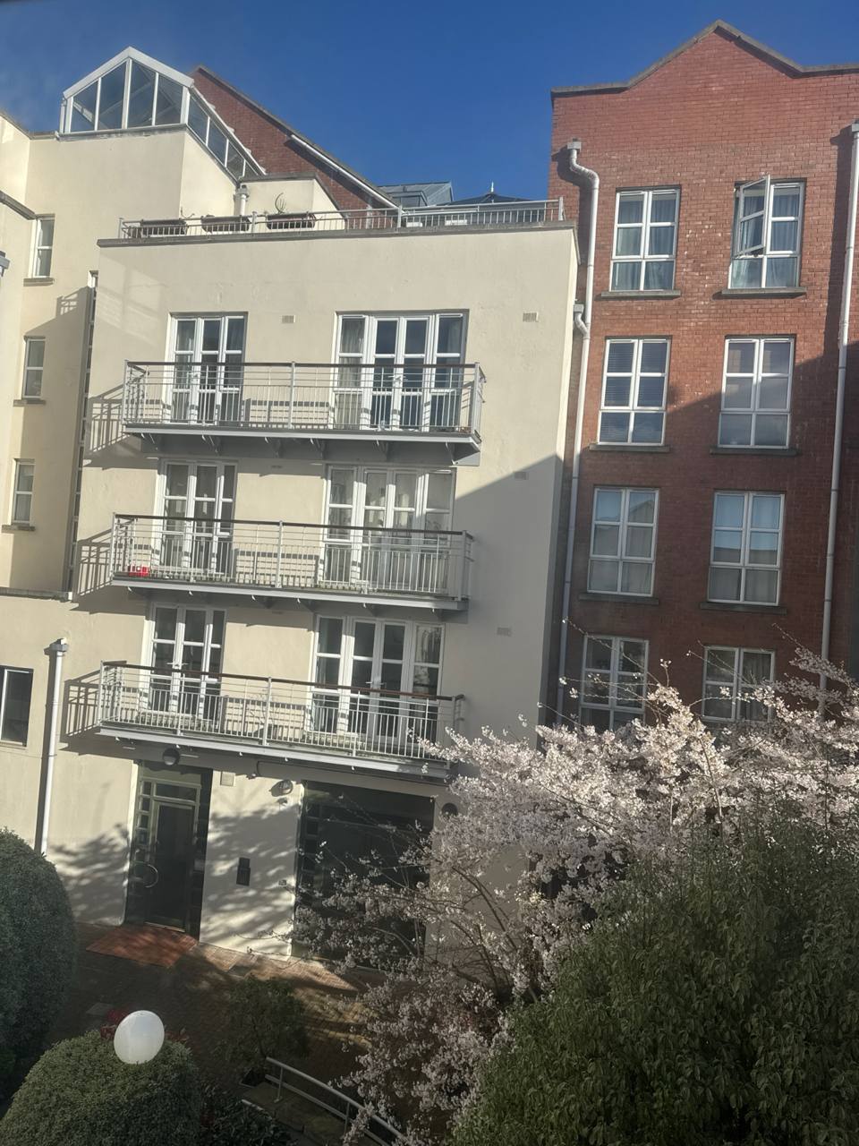 media from channel -1003888244528 #188