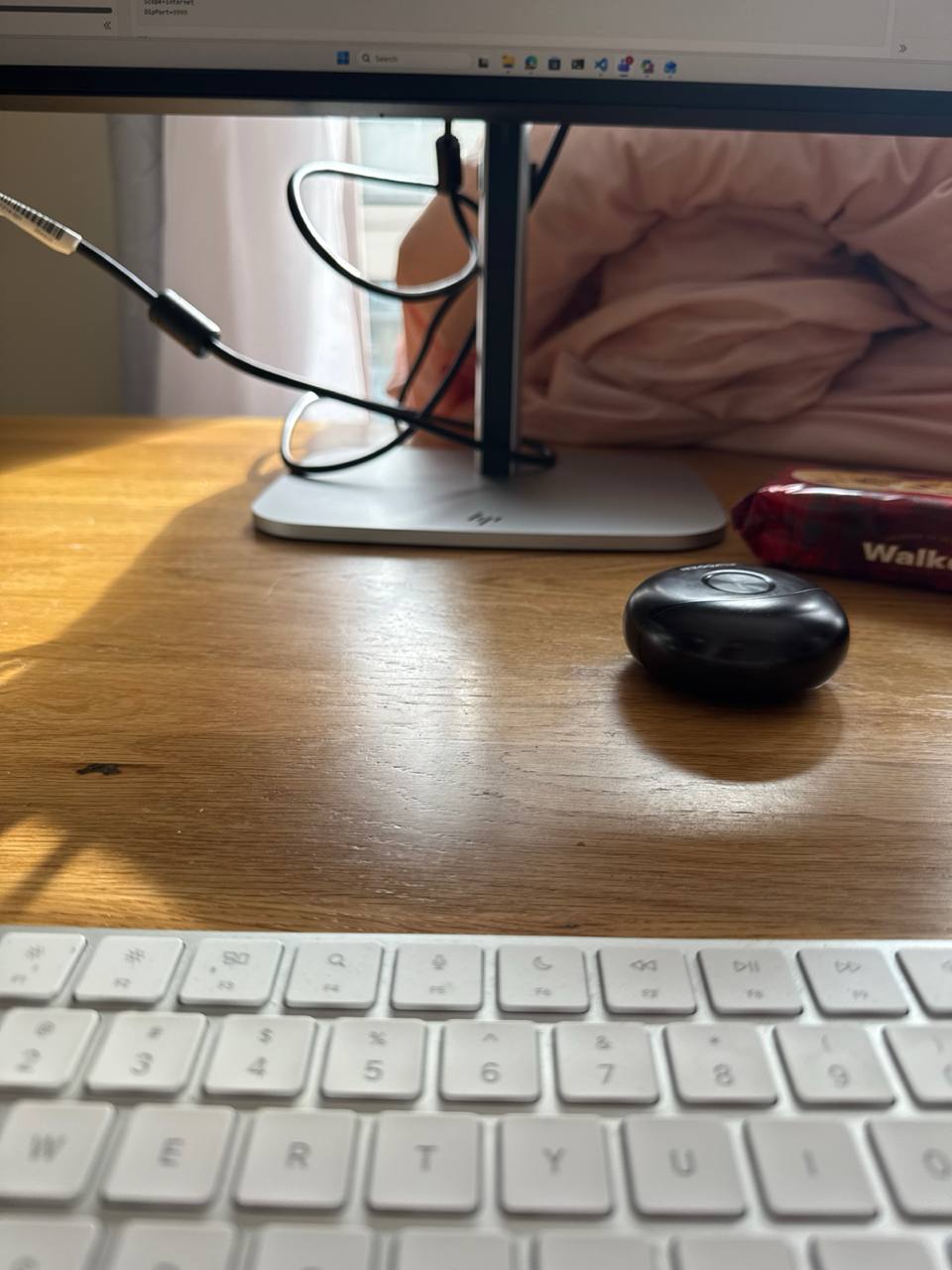 media from channel -1003888244528 #167