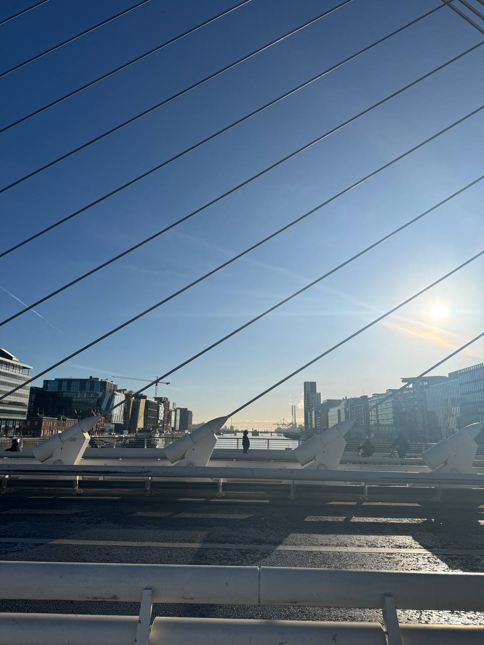 media from channel -1003888244528 #178