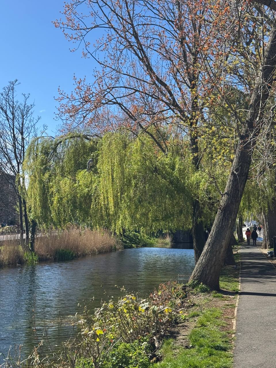 media from channel -1003888244528 #253