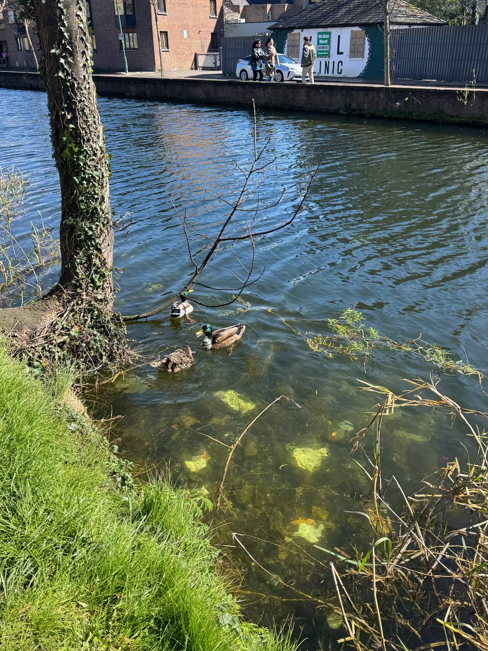 media from channel -1003888244528 #253