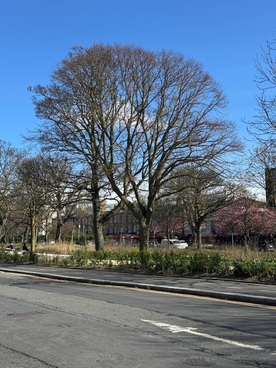 media from channel -1003888244528 #253