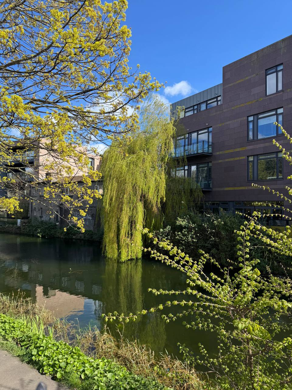 media from channel -1003888244528 #253