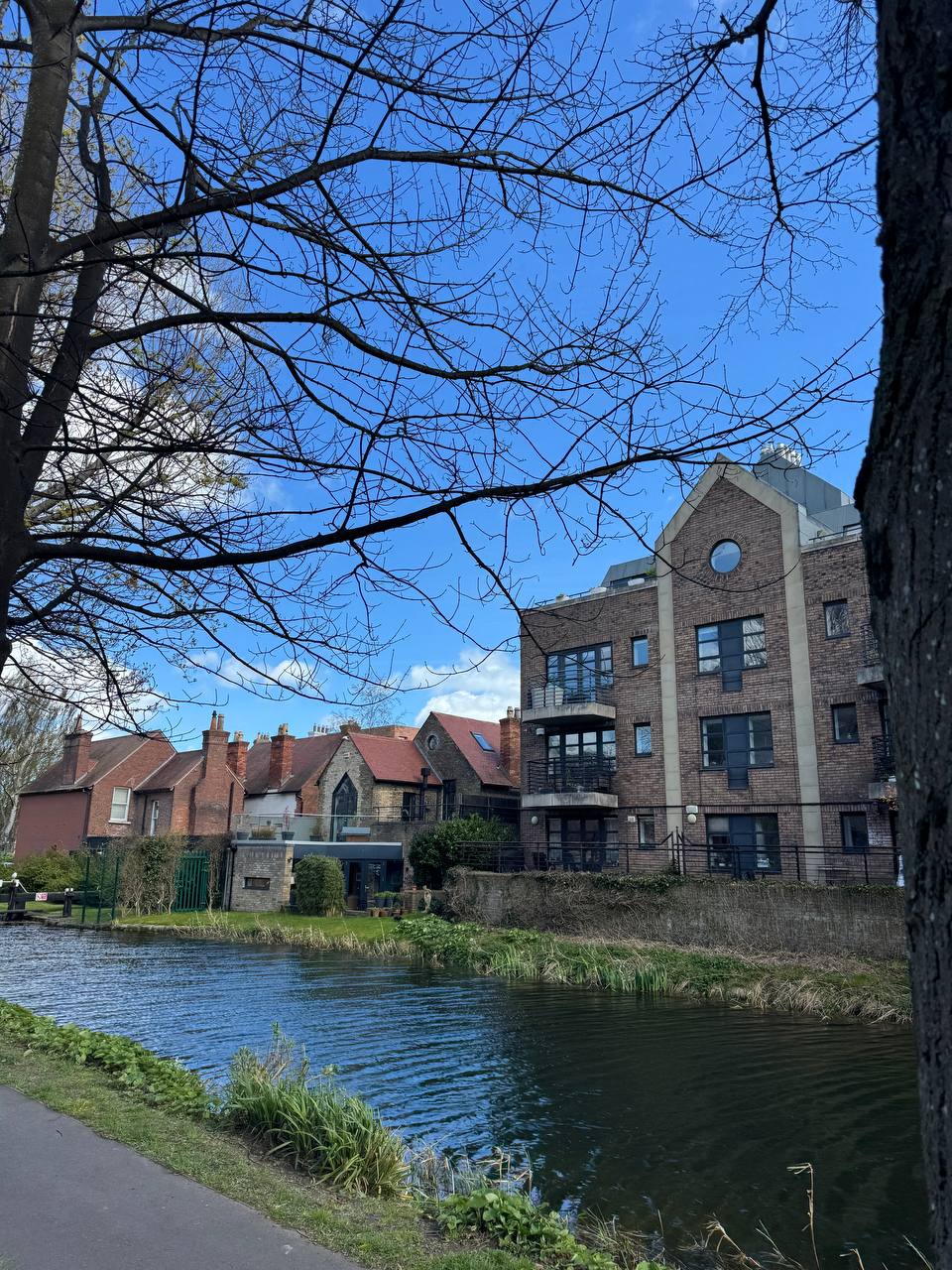 media from channel -1003888244528 #253