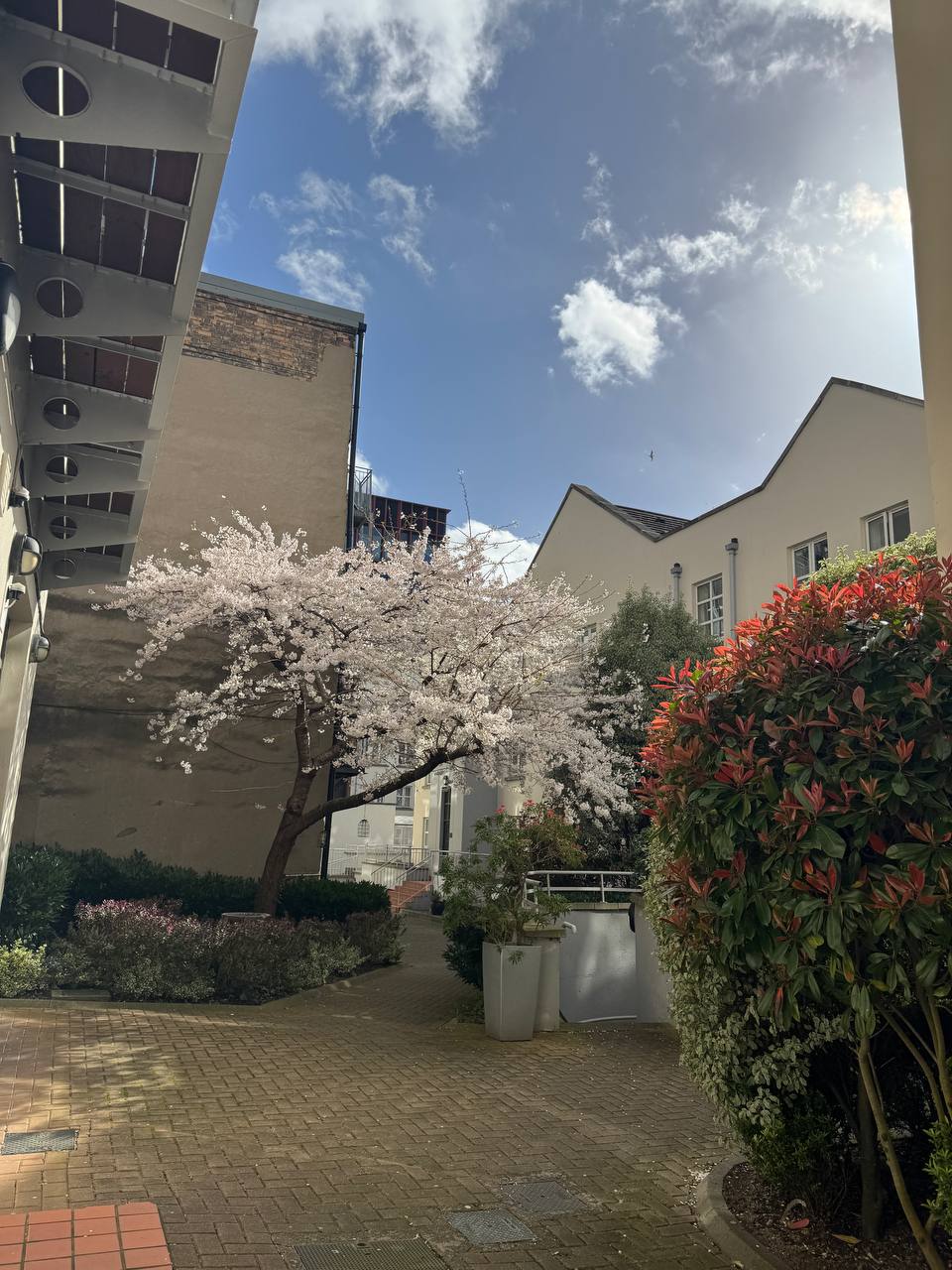 media from channel -1003888244528 #198