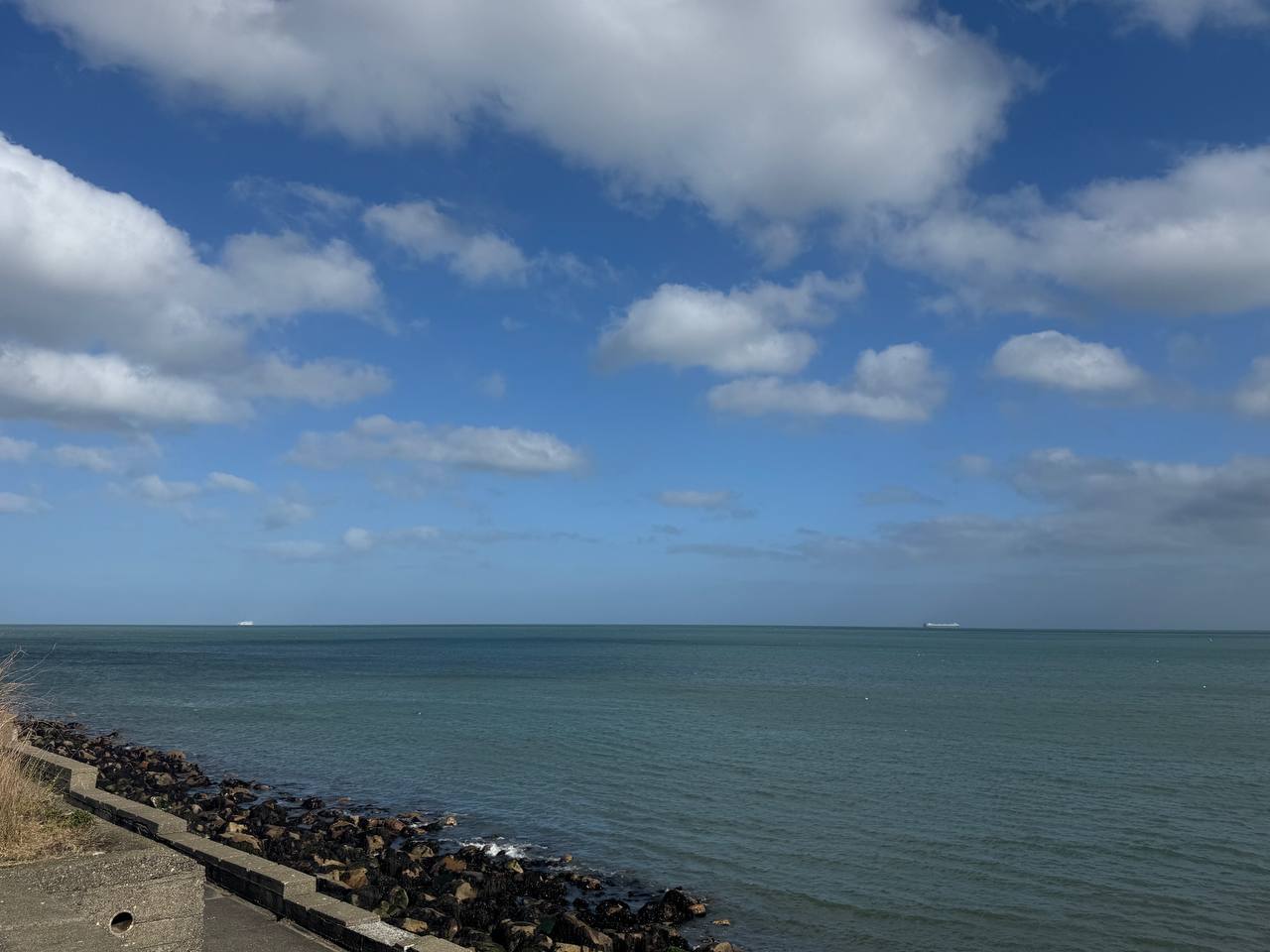 media from channel -1003888244528 #208