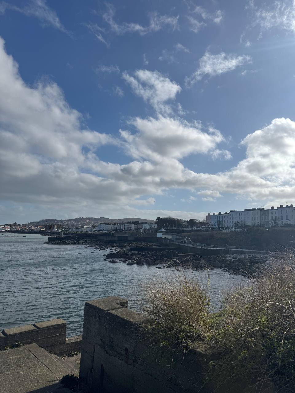 media from channel -1003726574713 #5