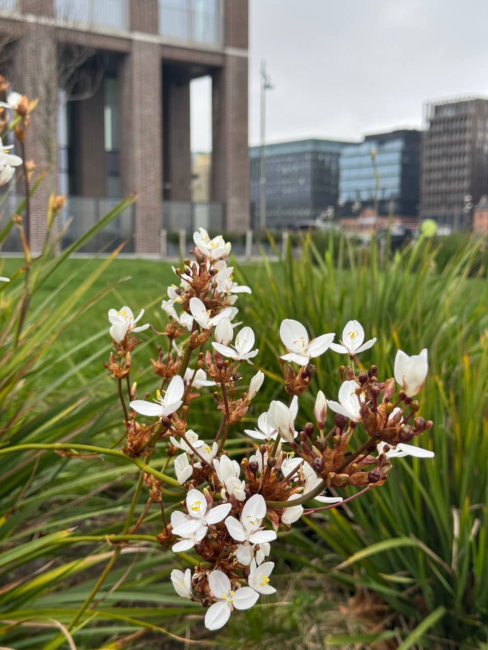 media from channel -1003888244528 #211