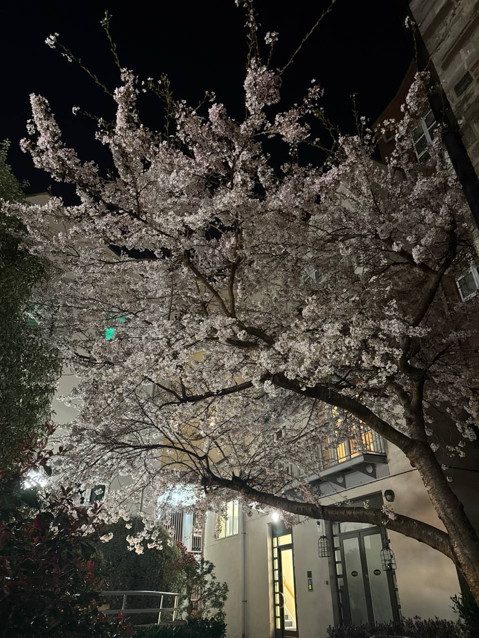 media from channel -1003888244528 #213