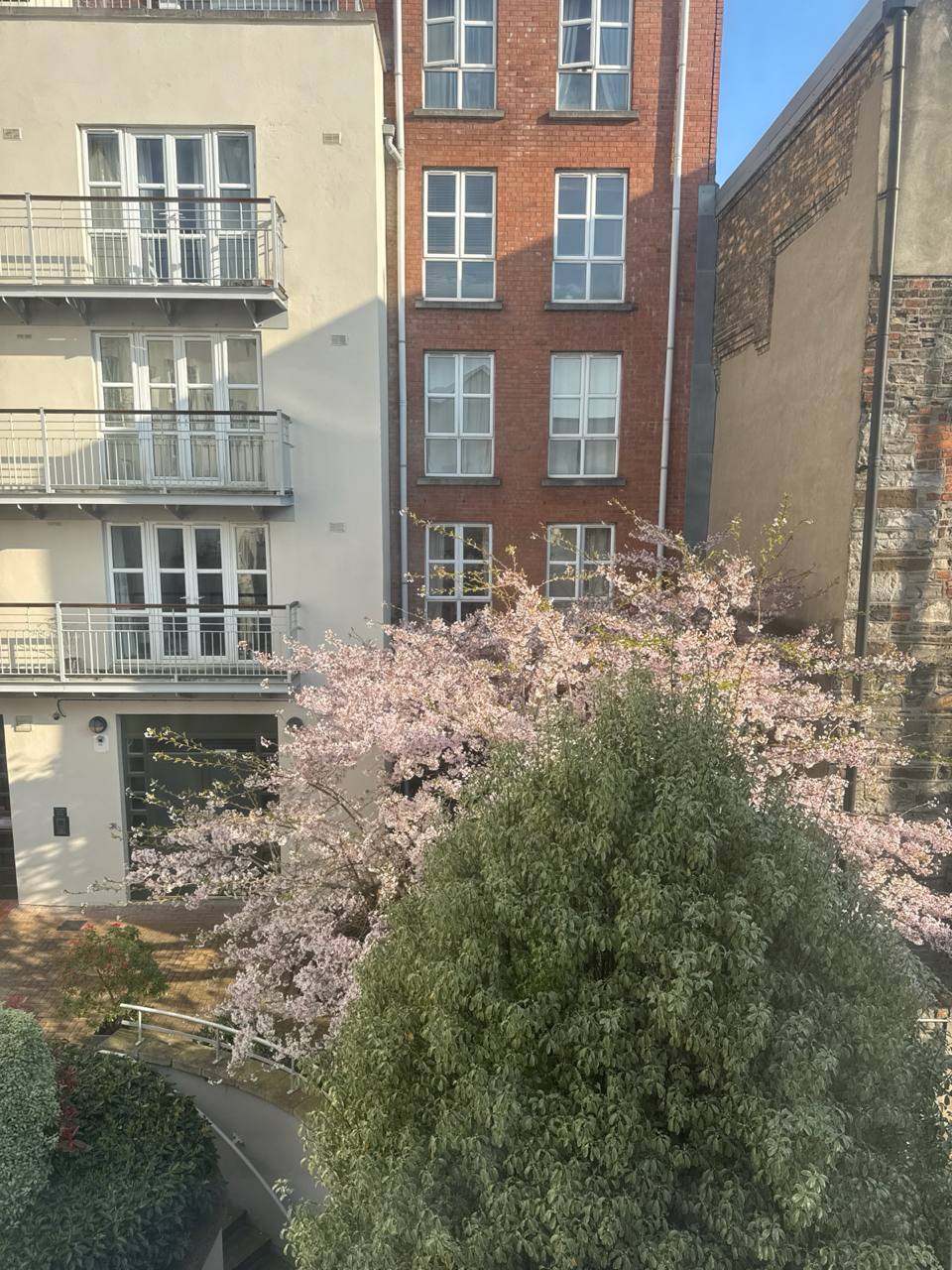 media from channel -1003888244528 #214