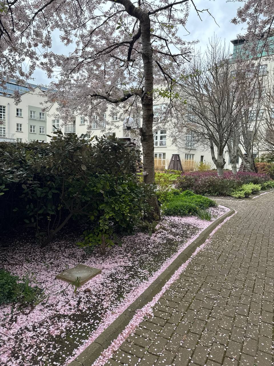 media from channel -1003888244528 #217