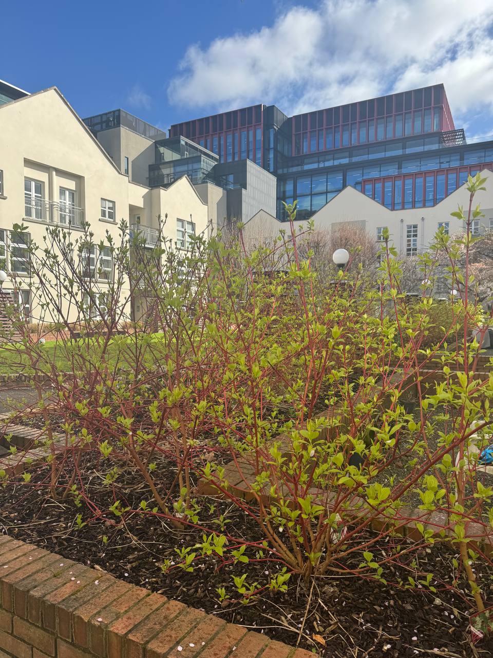 media from channel -1003888244528 #220