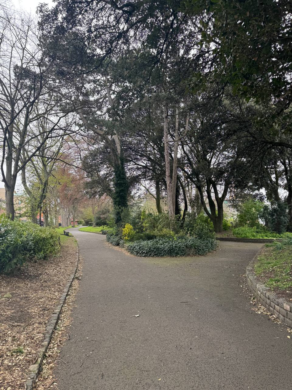 media from channel -1003888244528 #239