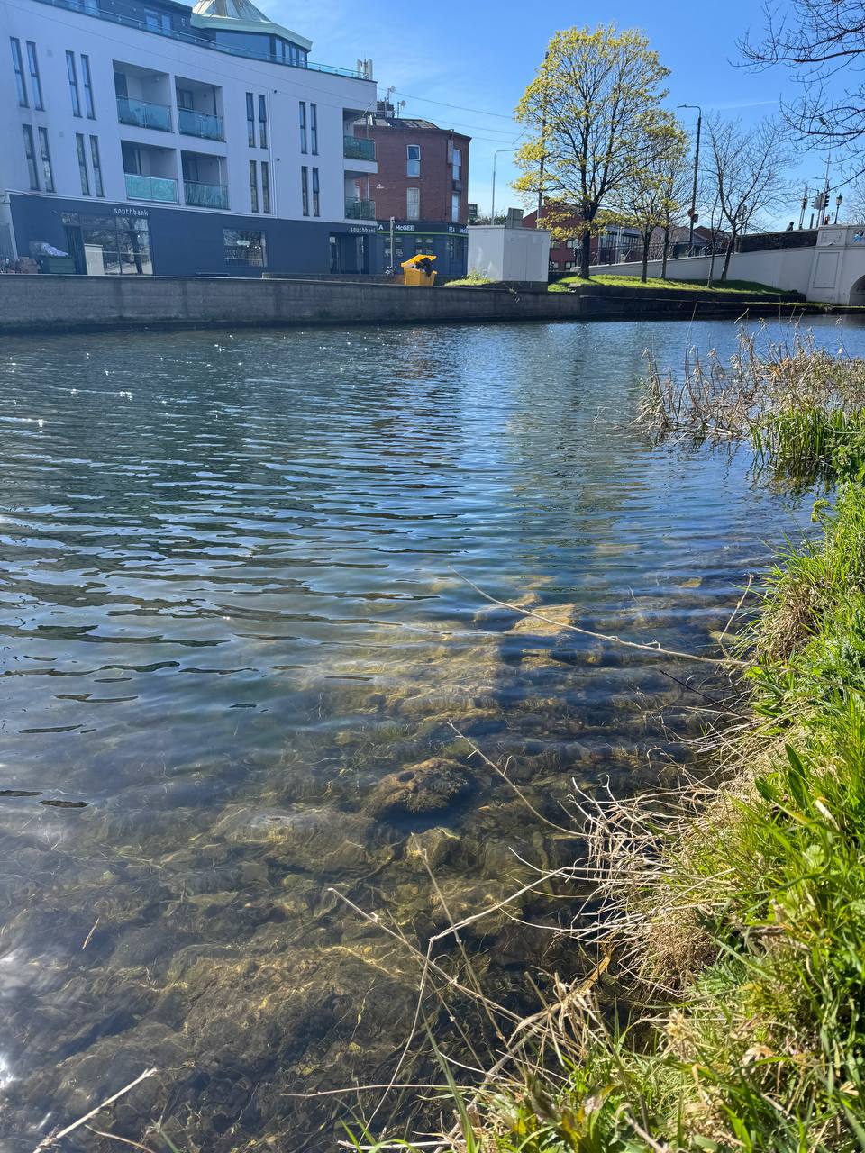 media from channel -1003888244528 #244